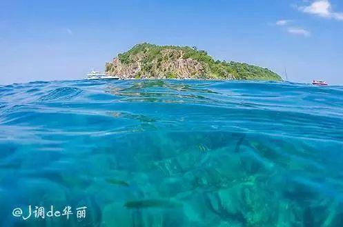 河北博野:按下个体户升级“加速键”